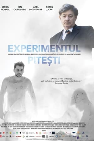 Experimentul Pitești