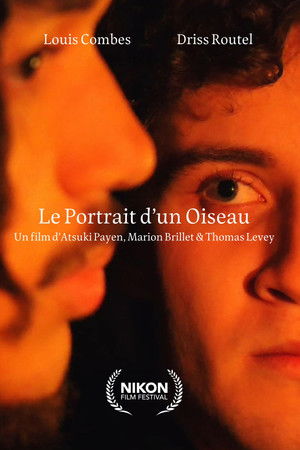 Le Portrait d'un Oiseau