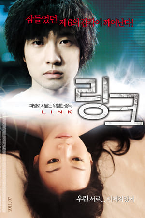 링크