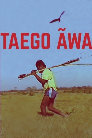 Taego Ãwa