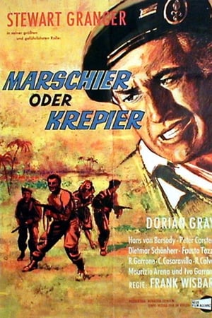 Marcia o crepa