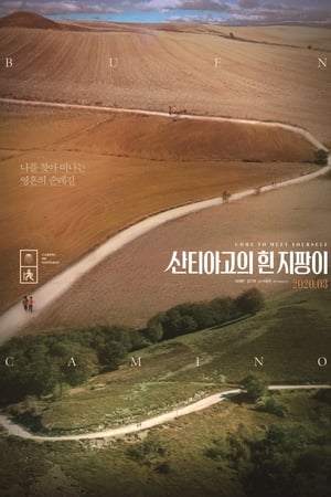산티아고의 흰 지팡이