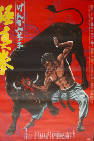けんか空手 極真拳