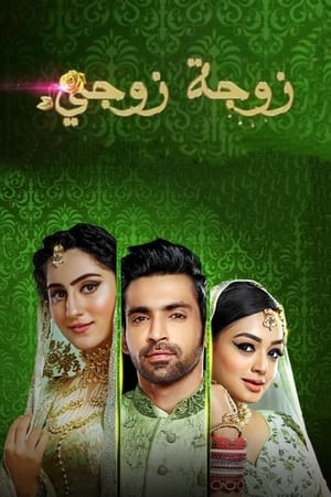 Bahu Begum