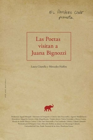 Las poetas visitan a Juana Bignozzi