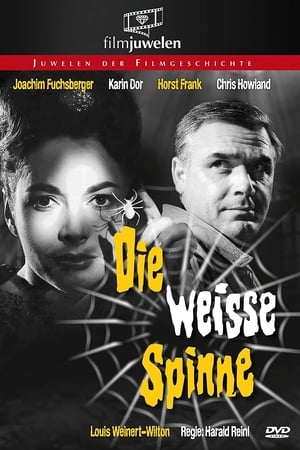 Die weiße Spinne