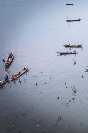 Makoko