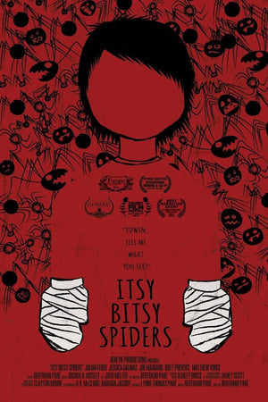 Itsy Bitsy Spiders