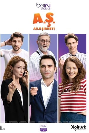 Aile Şirketi