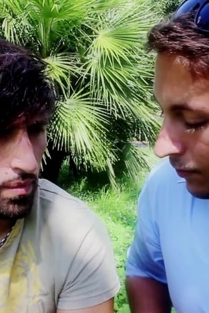 Oltre Le Barriere