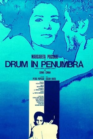 Drum în penumbră