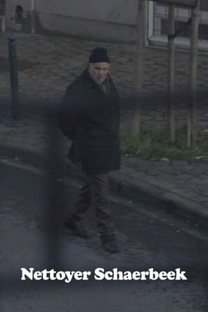 Nettoyer Schaerbeek