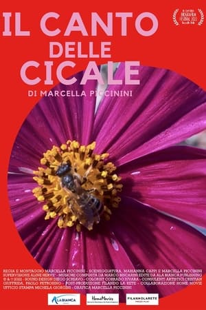 IL CANTO DELLE CICALE