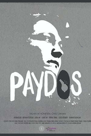 Paydos
