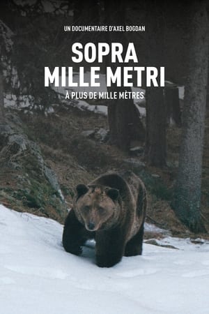 Sopra Mille Metri