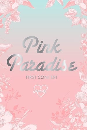 Apink 1st Concert 