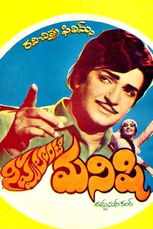 నిప్పులాంటి మనిషి
