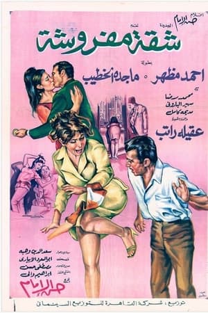 شقة مفروشة