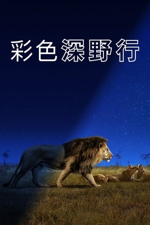 夜色中的地球