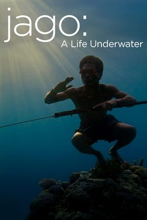水下人生