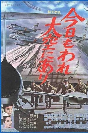 今日もわれ大空にあり