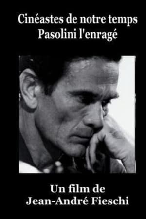 Pasolini l'Enragé