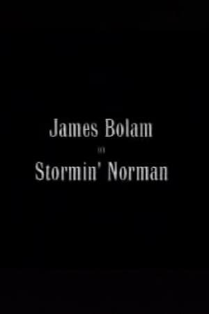 Stormin' Norman