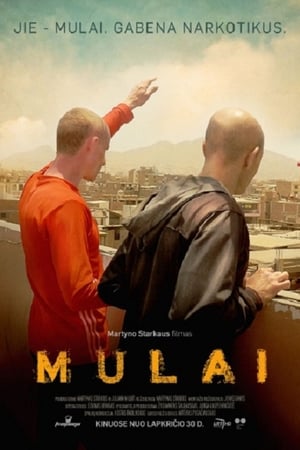 Mulai