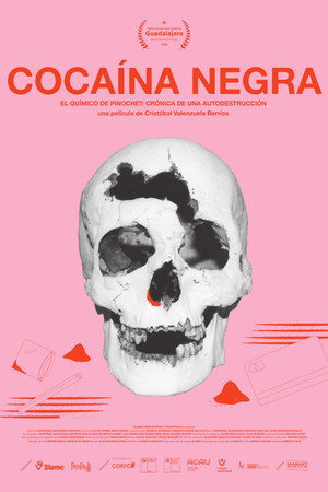 Cocaína negra