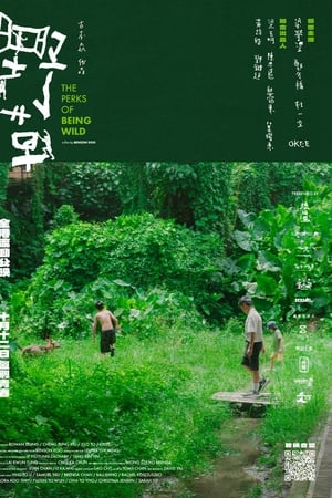野草