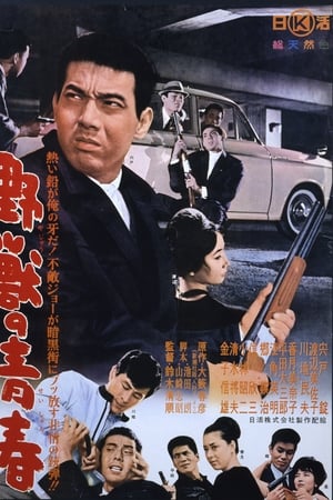 野兽的青春