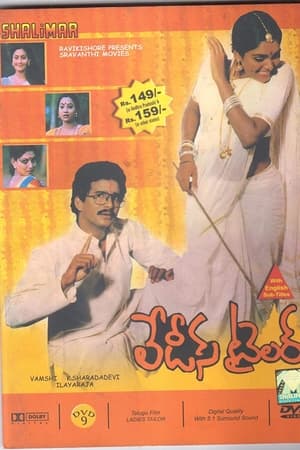 లేడీస్ టైలర్