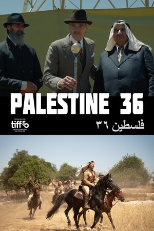 巴勒斯坦36号