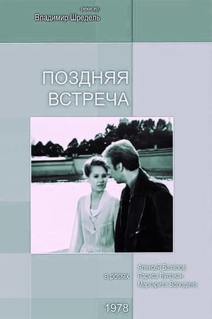 Поздняя встреча