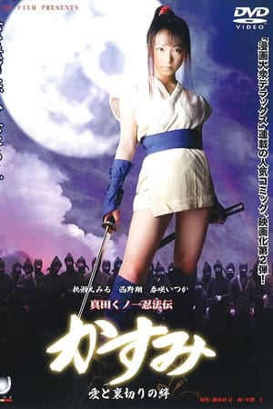 真田女忍者霞传2：爱与背叛的羁绊