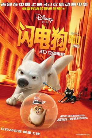 闪电狗