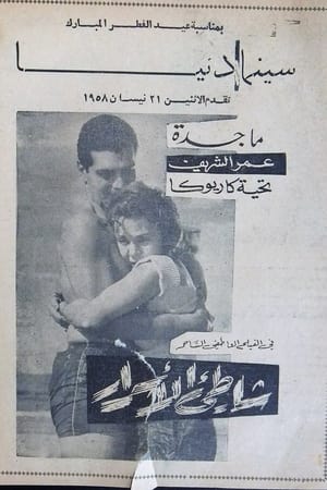 شاطئ الأسرار
