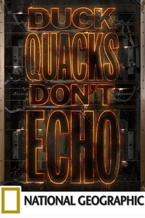 Duck Quacks Don't Echo
