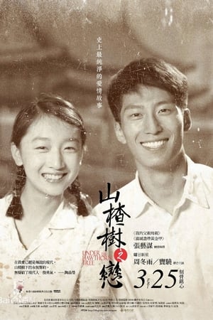 山楂树之恋