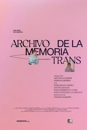Archivo de la Memoria Trans
