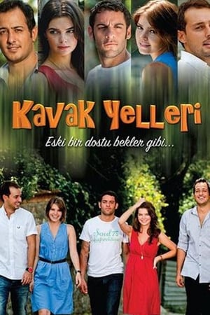 Kavak Yelleri第5季