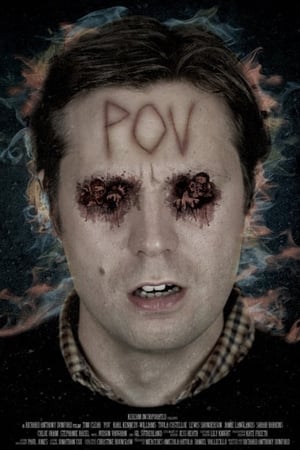 P.O.V