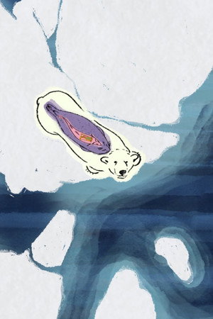 Arctic Shifts