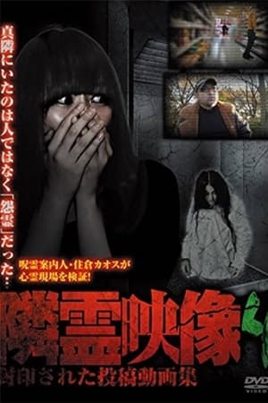 隣霊映像 封印された投稿動画集 Vol.4