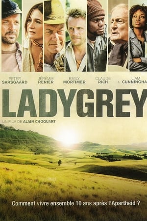 Ladygrey