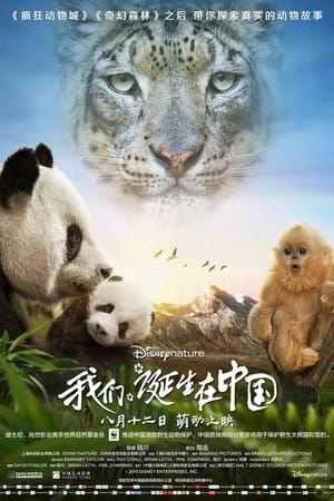 我们诞生在中国