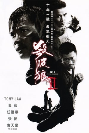 杀破狼2