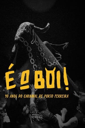 É o Boi