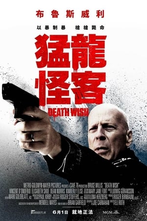 虎胆追凶