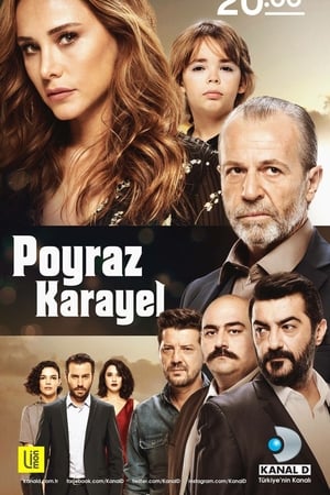 Poyraz Karayel第2季